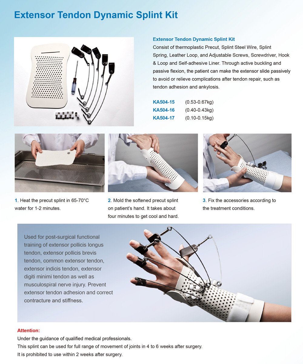 Extensor tendon dynamic.jpg